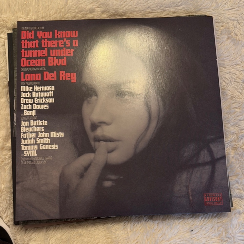 Lana Del Rey Vinyl Record